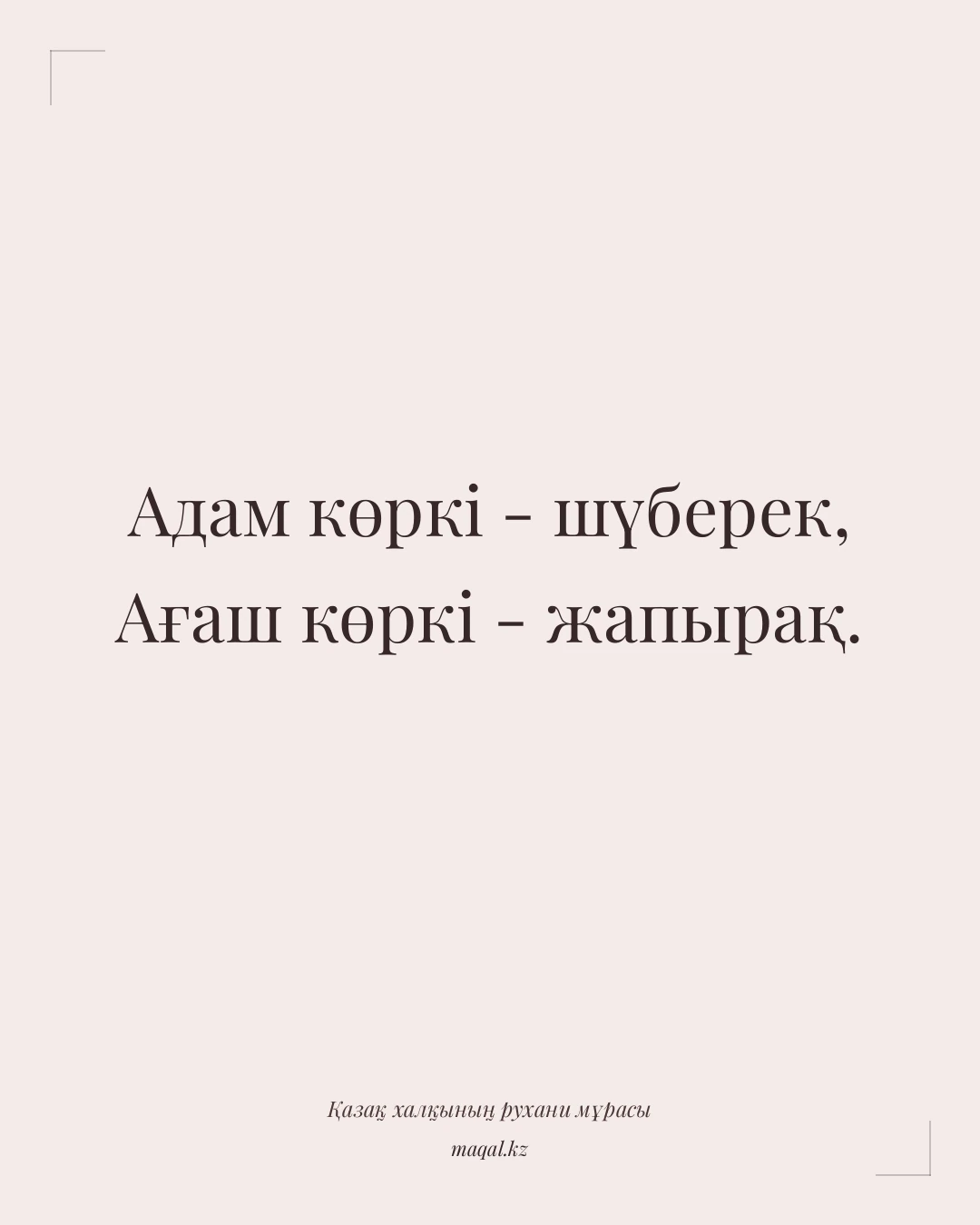 Адам көркі - шүберек, Ағаш көркі - жапырақ. — қазақша мақал