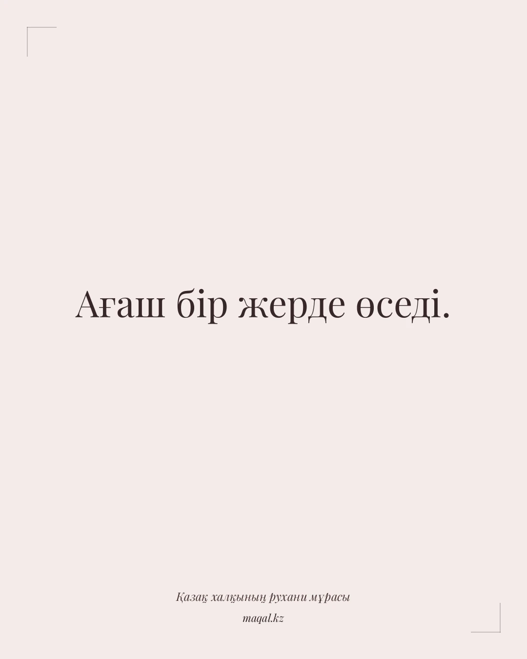 Ағаш бір жерде өседі. — қазақша мақал