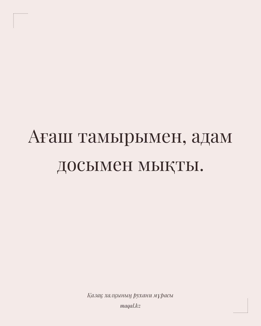 Ағаш тамырымен, адам досымен мықты. — қазақша мақал
