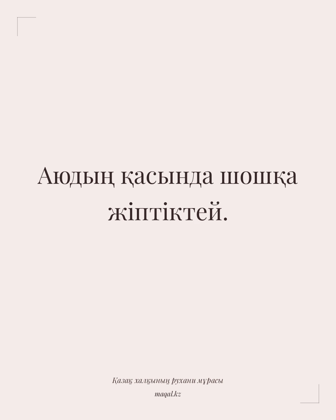 Аюдың қасында шошқа жіптіктей. — қазақша мақал