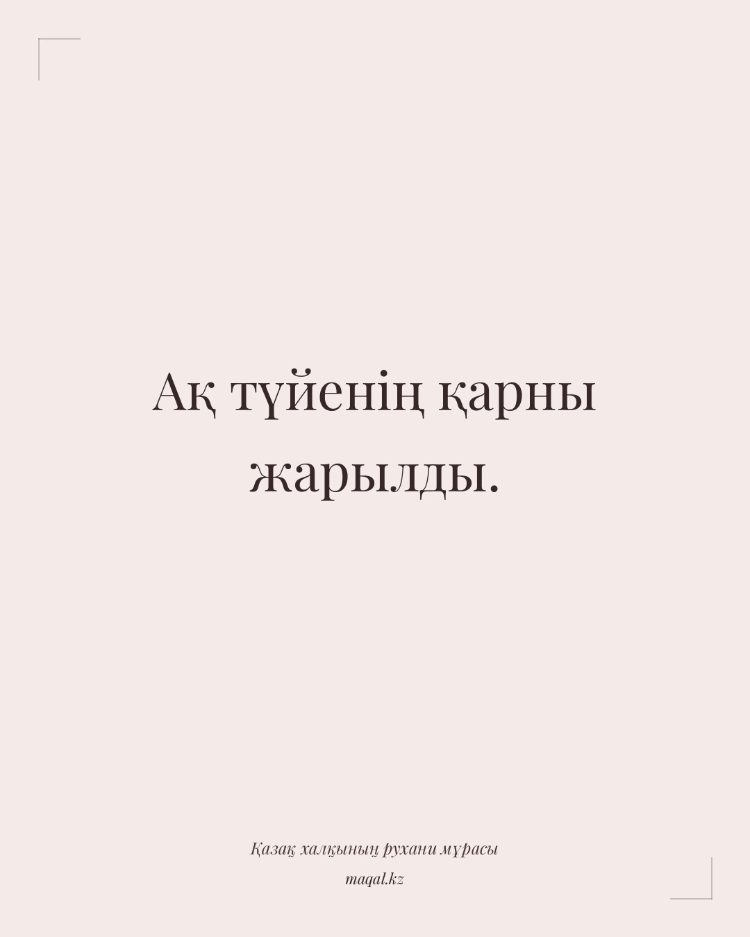 Ақ түйенің қарны жарылды. — қазақша мақал