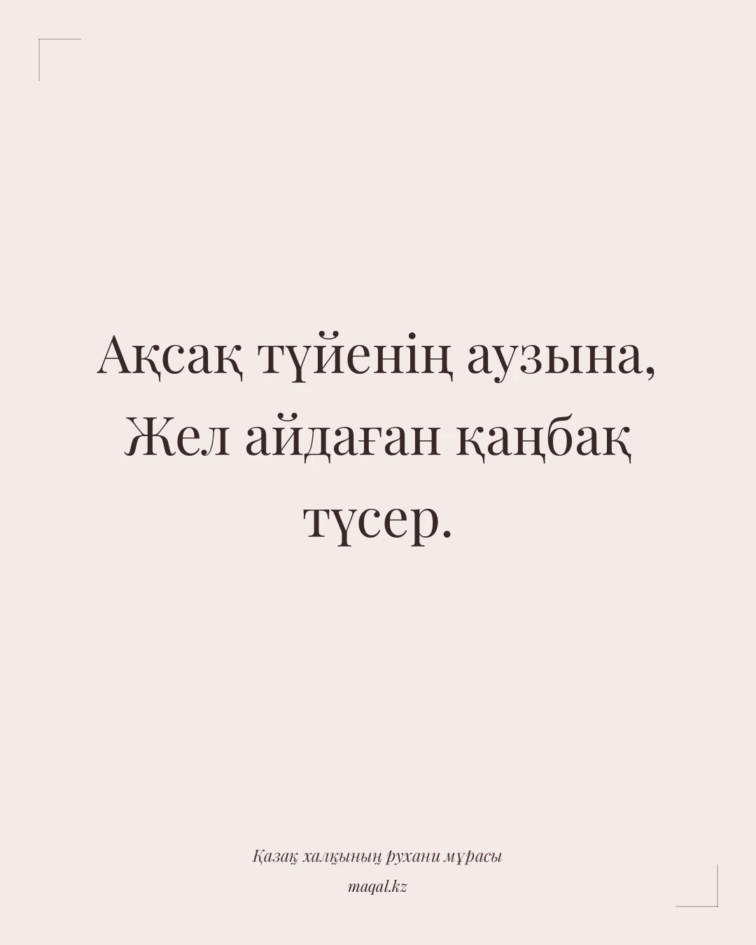 Ақсақ түйенің аузына, Жел айдаған қаңбақ түсер. — қазақша мақал