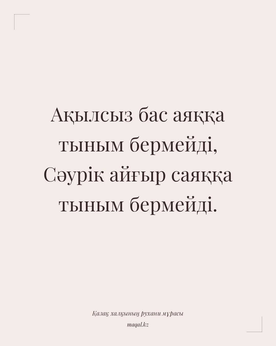 Ақылсыз бас аяққа тыным бермейді, Сәурік айғыр саяққа тыным бермейді. — қазақша мақал