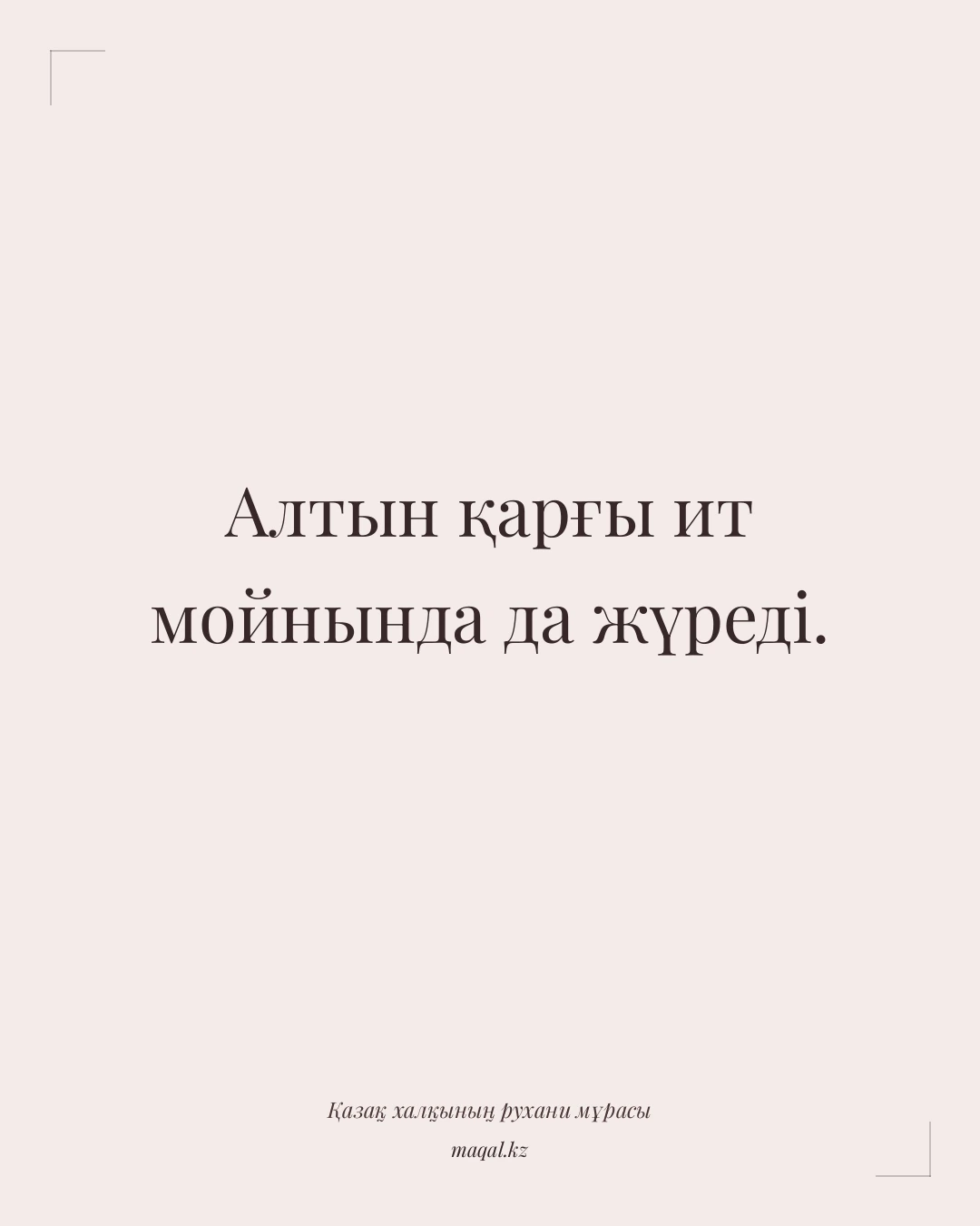 Алтын қарғы ит мойнында да жүреді. — қазақша мақал