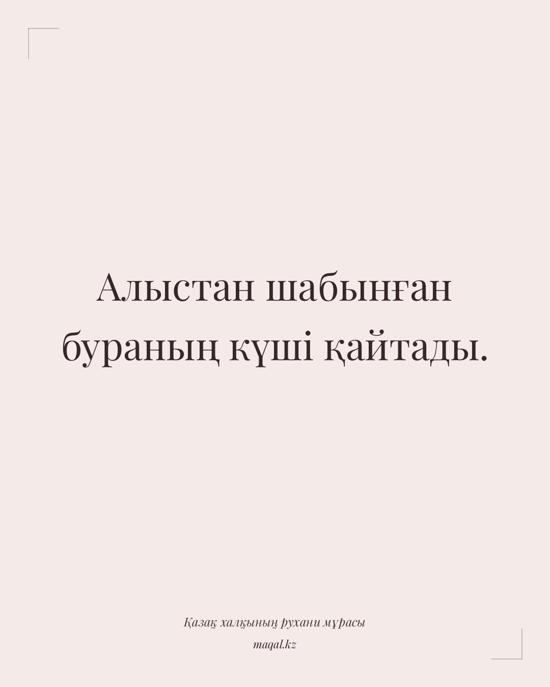 Алыстан шабынған бураның күші қайтады. — қазақша мақал
