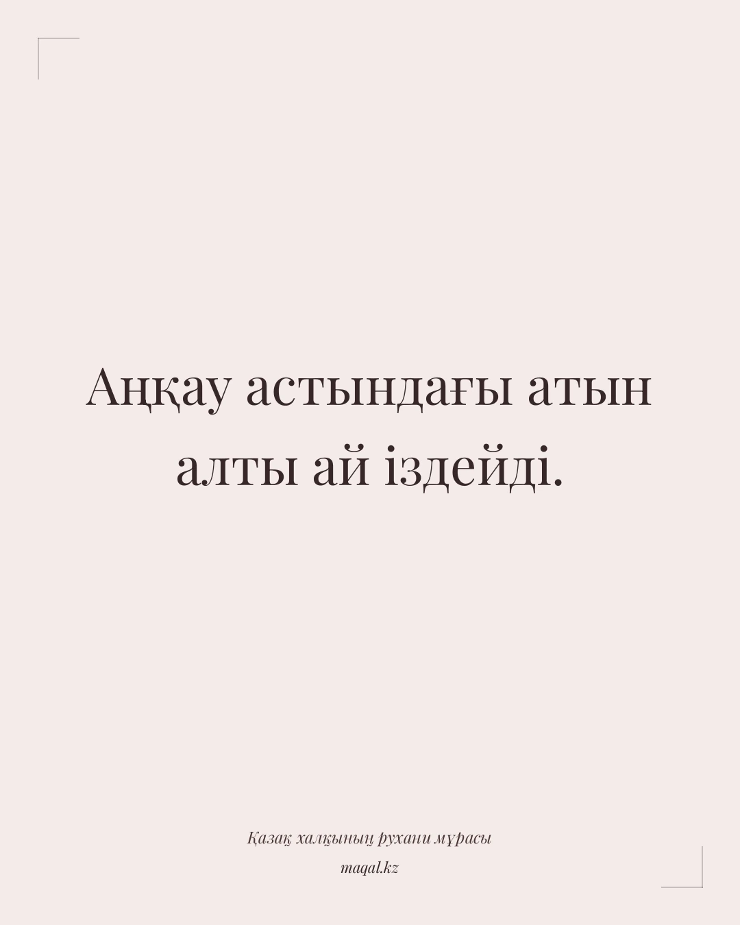 Аңқау астындағы атын алты ай іздейді. — қазақша мақал