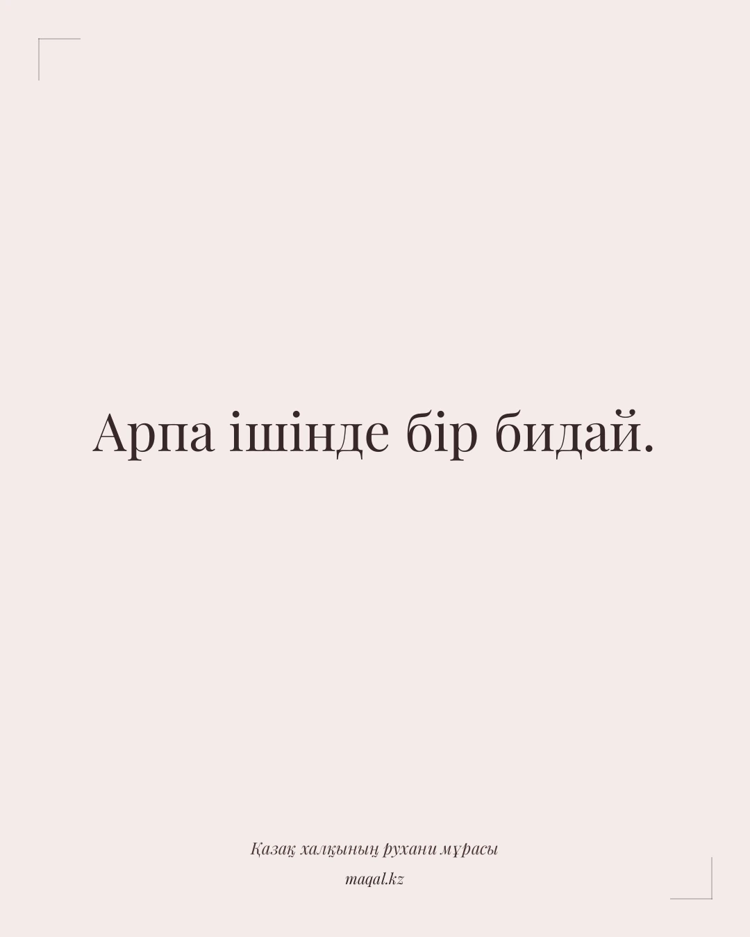 Арпа ішінде бір бидай. — қазақша мақал