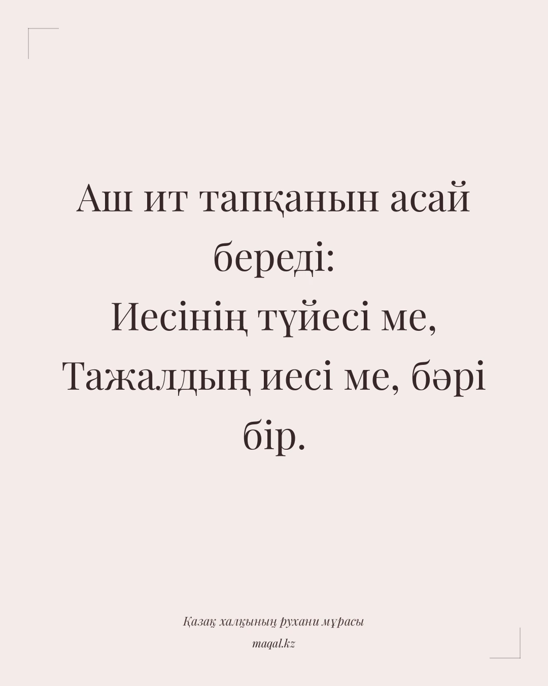 Аш ит тапқанын асай береді: Иесінің түйесі ме, Тажалдың иесі ме, бәрі бір. — қазақша мақал