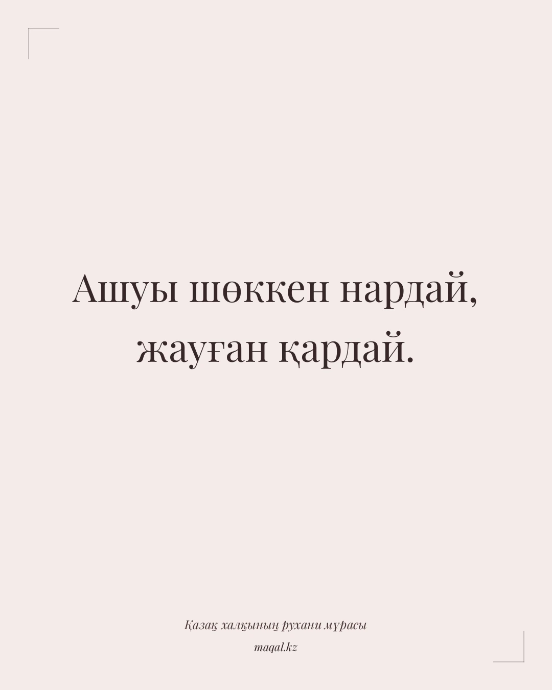 Ашуы шөккен нардай, жауған қардай. — қазақша мақал