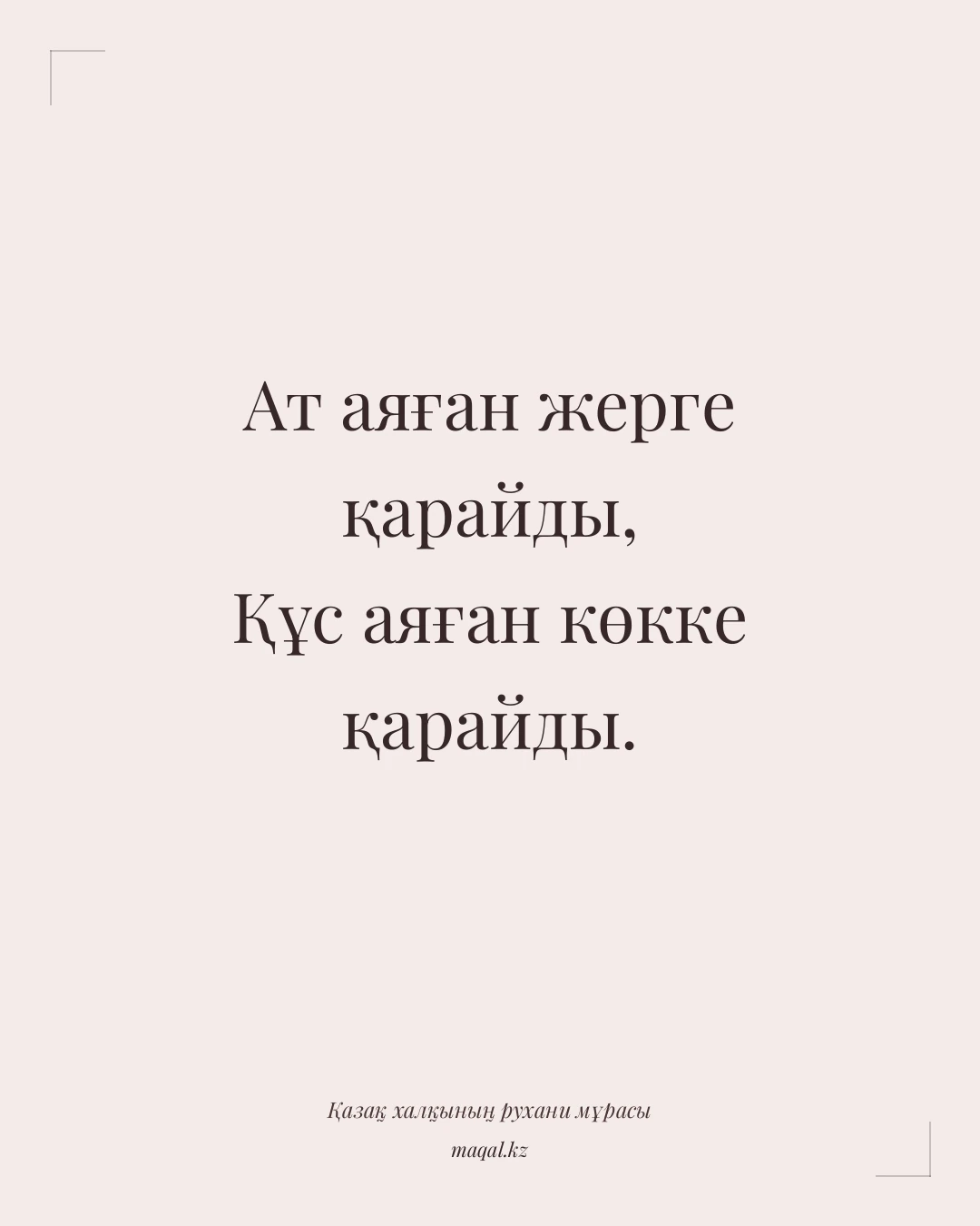 Ат аяған жерге қарайды, Құс аяған көкке қарайды. — қазақша мақал