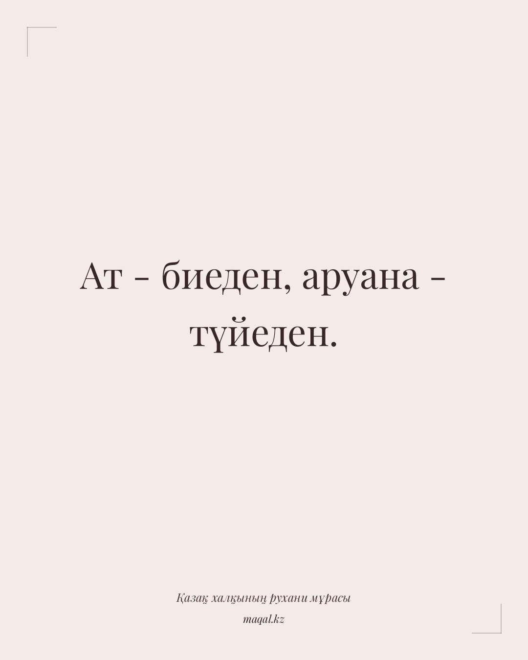 Ат - биеден, аруана - түйеден. — қазақша мақал