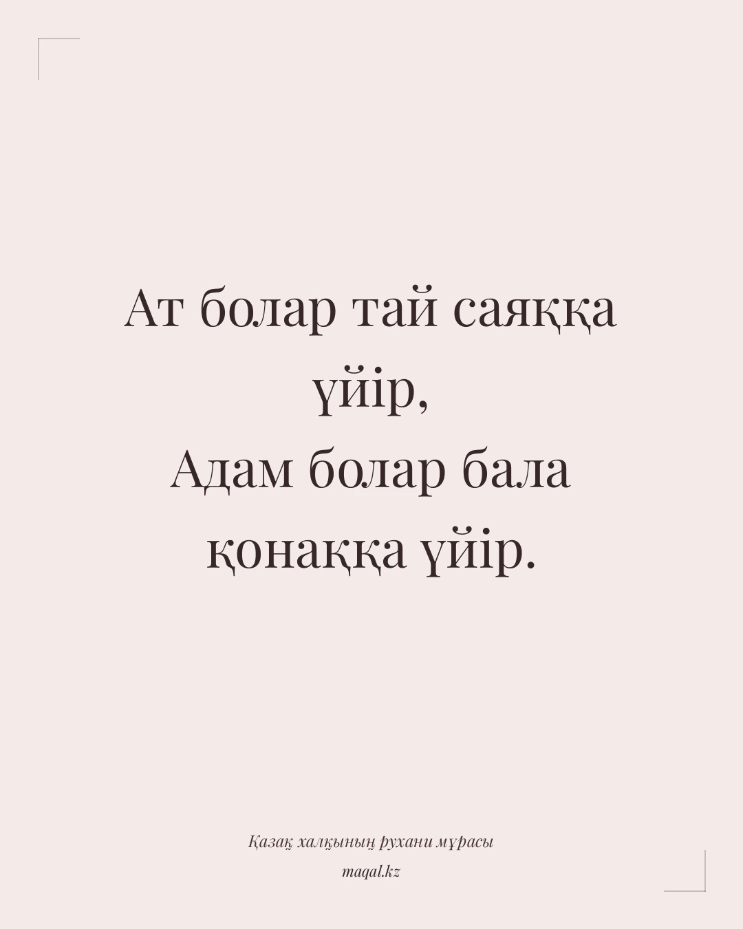 Ат болар тай саяққа үйір, Адам болар бала қонаққа үйір. — қазақша мақал