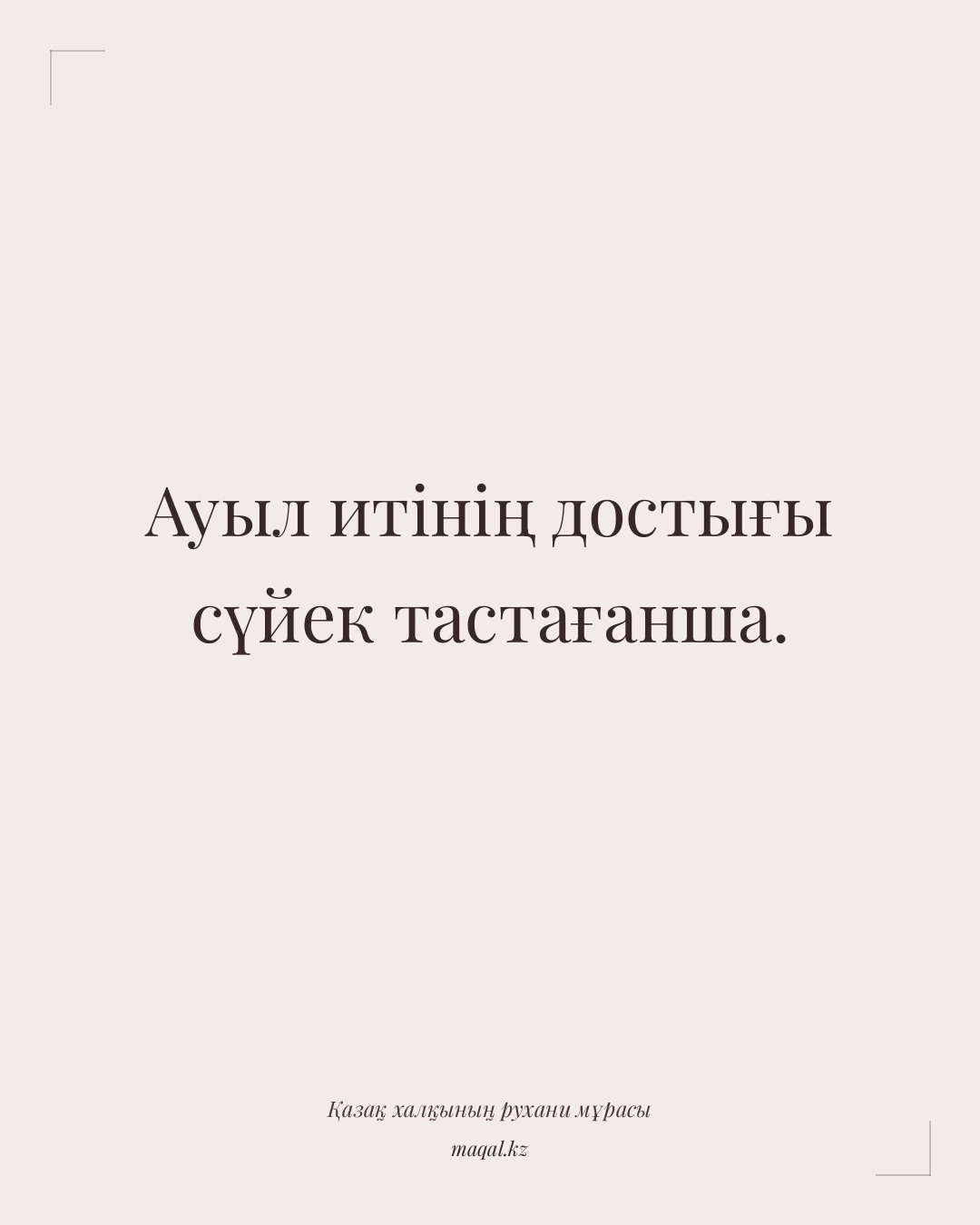 Ауыл итінің достығы сүйек тастағанша. — қазақша мақал