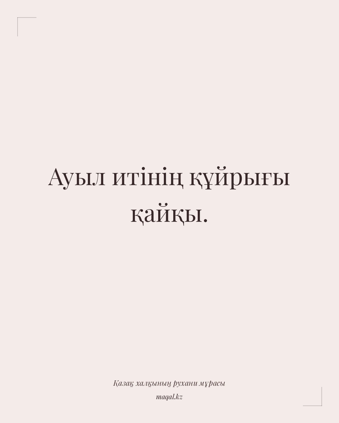 Ауыл итінің құйрығы қайқы. — қазақша мақал