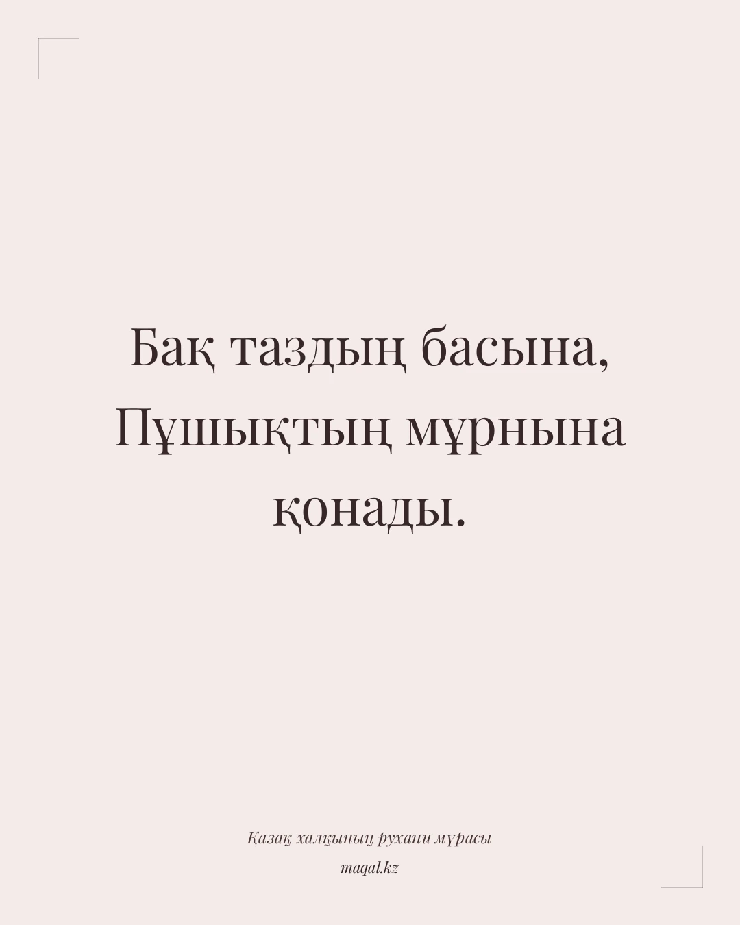 Бақ таздың басына, Пұшықтың мұрнына қонады. — қазақша мақал