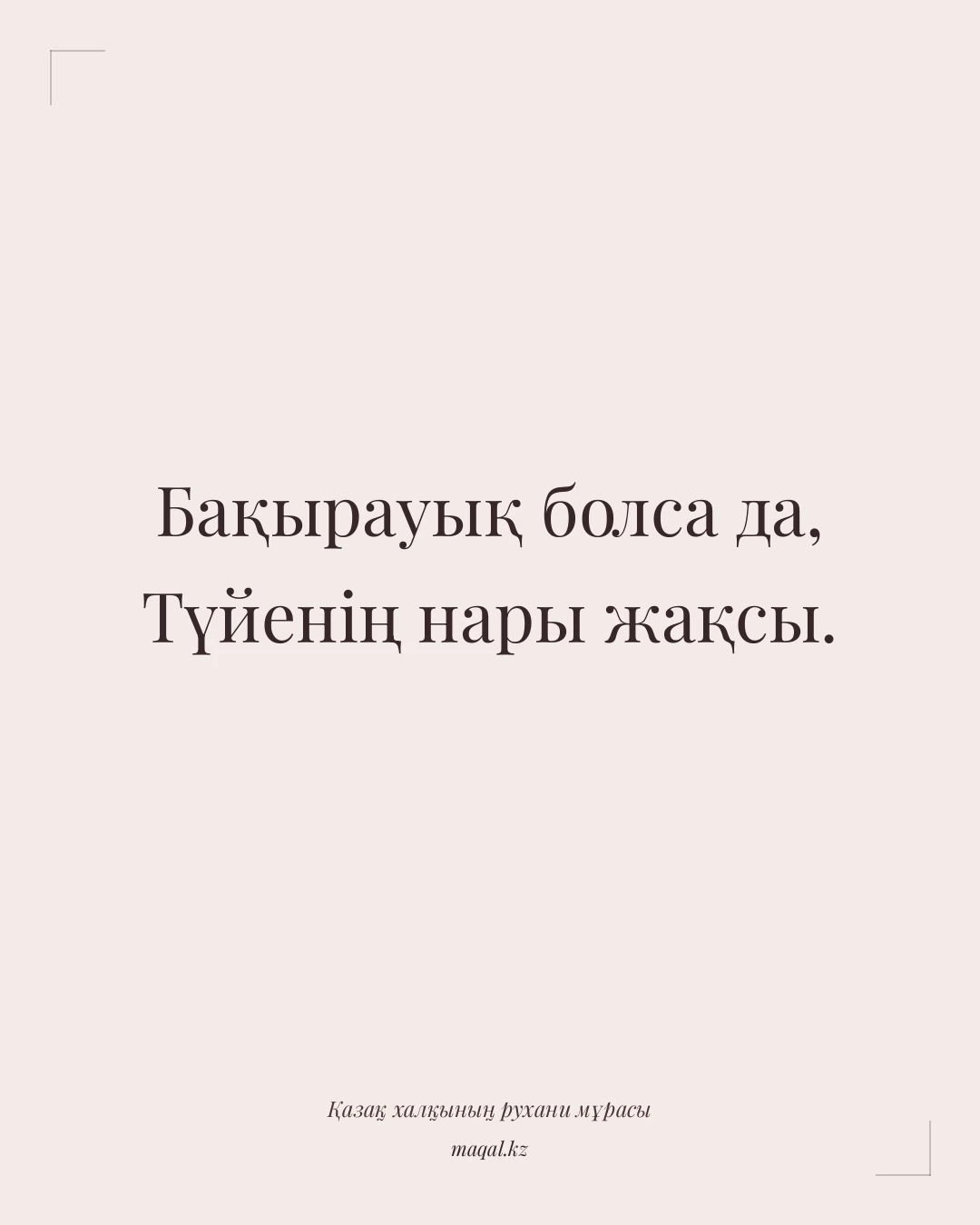 Бақырауық болса да, Түйенің нары жақсы. — қазақша мақал