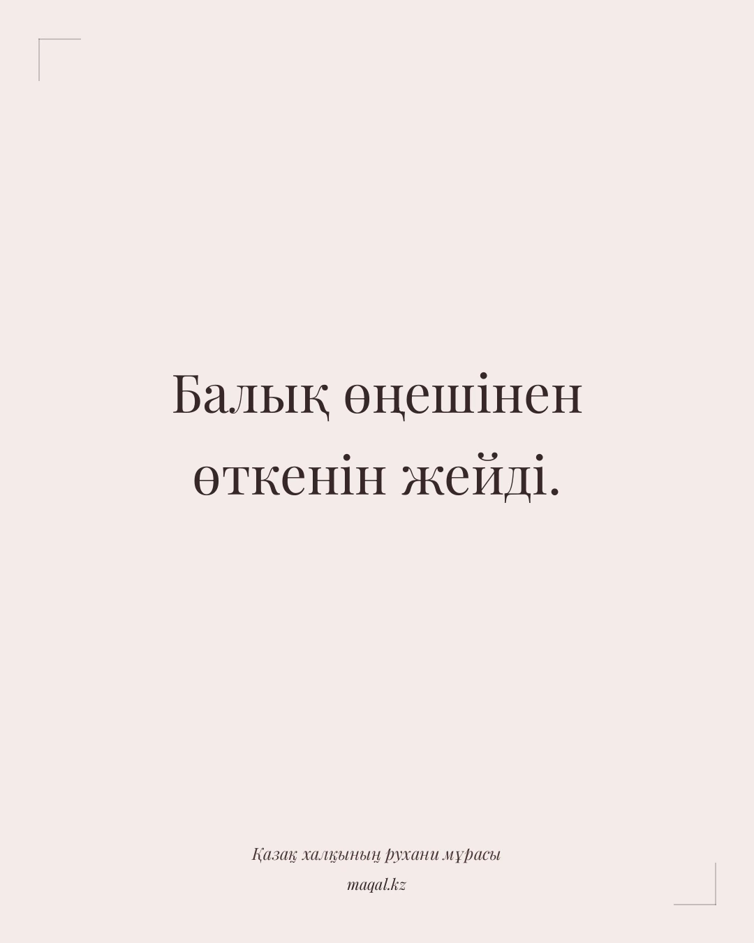 Балық өңешінен өткенін жейді. — қазақша мақал