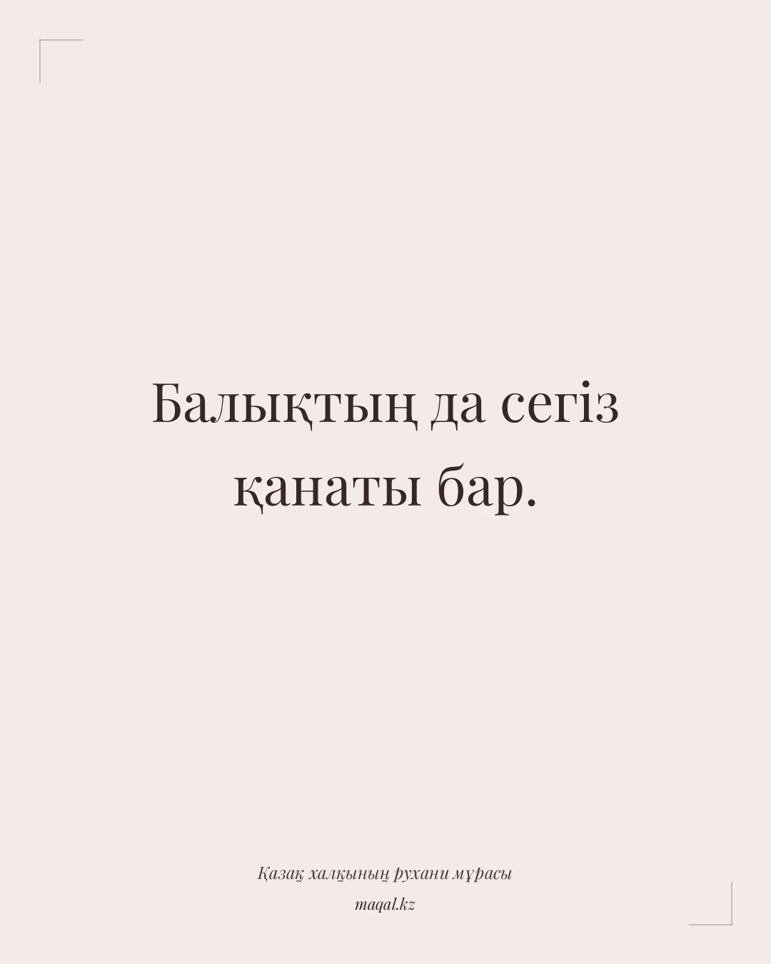 Балықтың да сегіз қанаты бар. — қазақша мақал