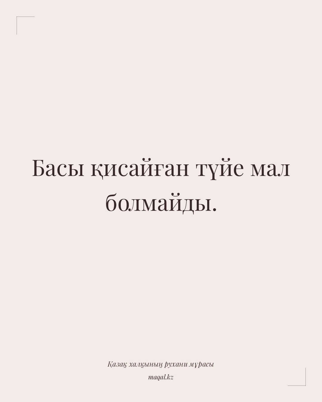 Басы қисайған түйе мал болмайды. — қазақша мақал