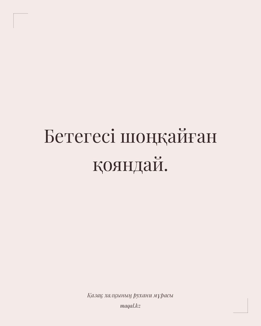 Бетегесі шоңқайған қояндай. — қазақша мақал