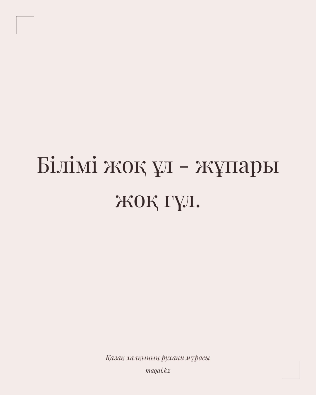 Білімі жоқ ұл - жұпары жоқ гүл. — қазақша мақал