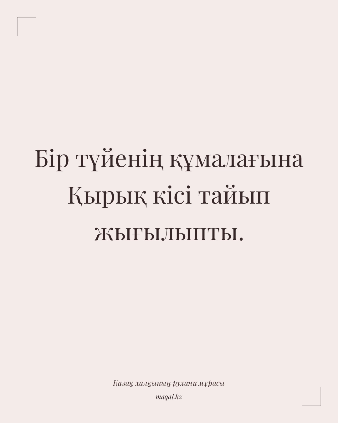 Бір түйенің құмалағына Қырық кісі тайып жығылыпты. — қазақша мақал