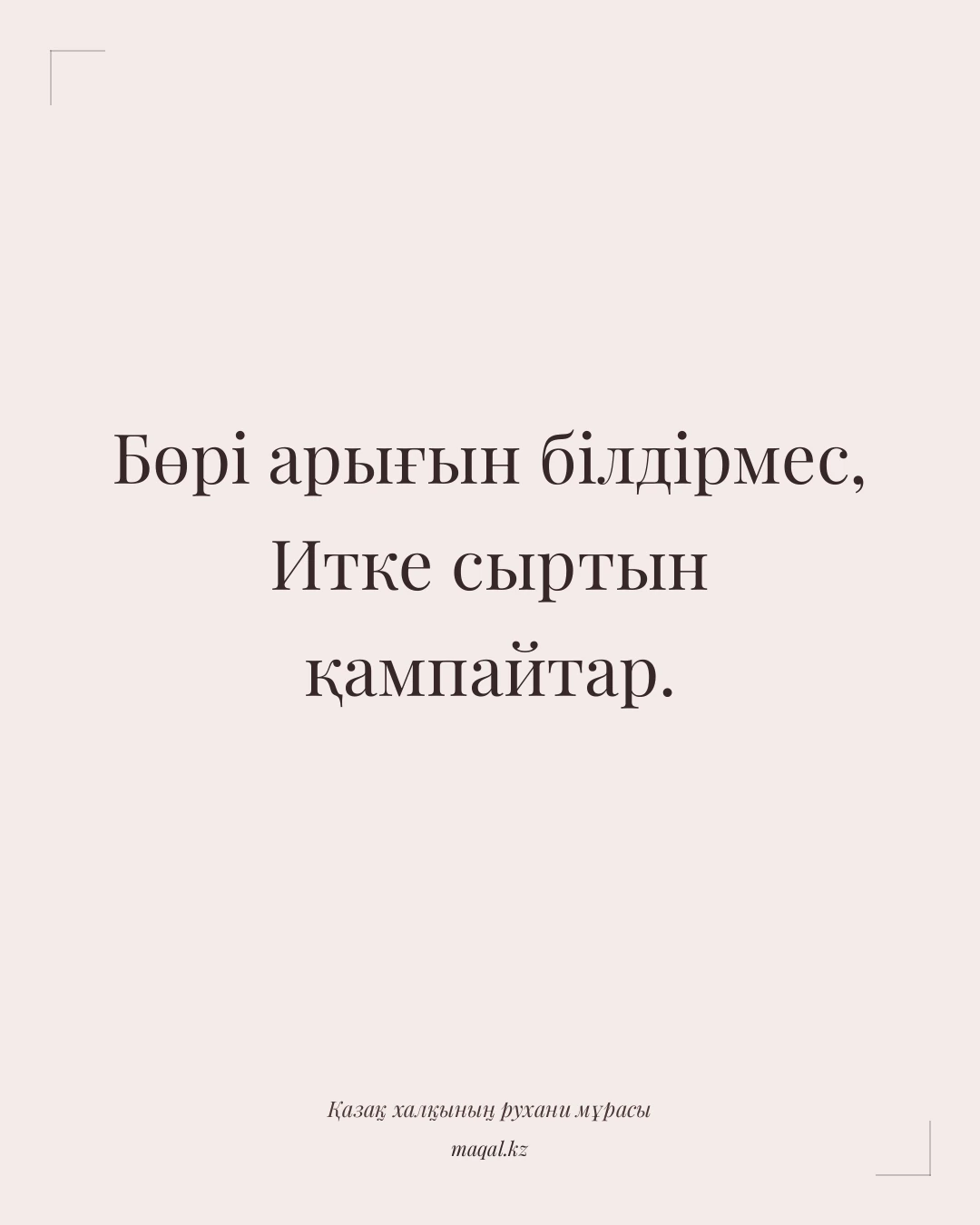 Бөрі арығын білдірмес, Итке сыртын қампайтар. — қазақша мақал