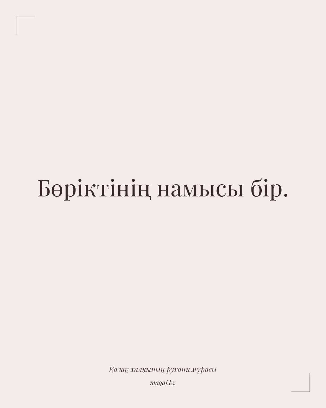 Бөріктінің намысы бір. — қазақша мақал
