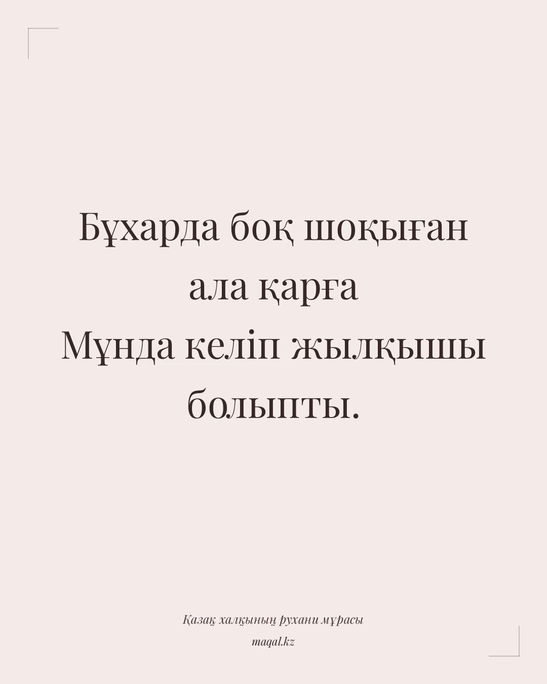Бұхарда боқ шоқыған ала қарға Мұнда келіп жылқышы болыпты. — қазақша мақал