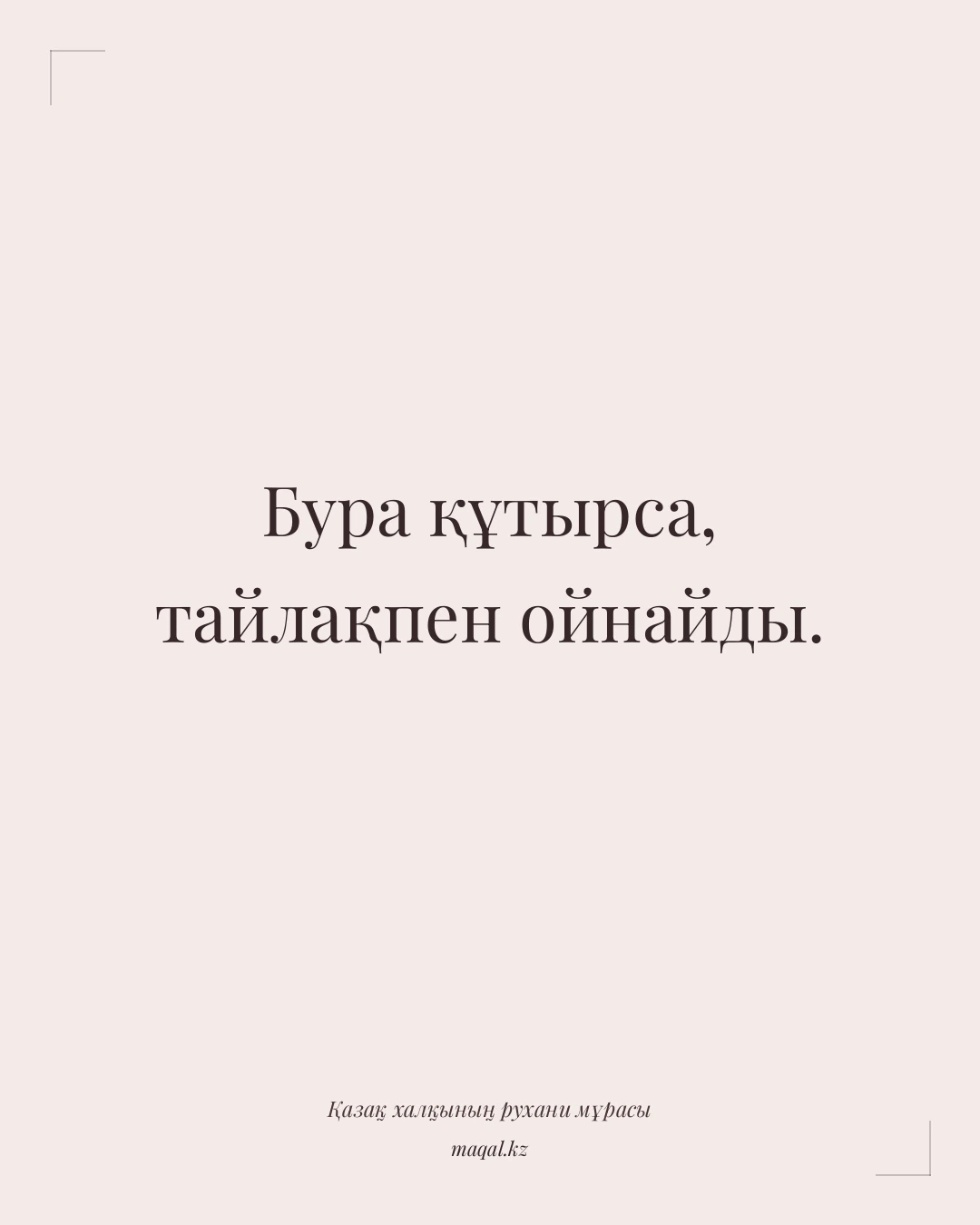 Бура құтырса, тайлақпен ойнайды. — қазақша мақал