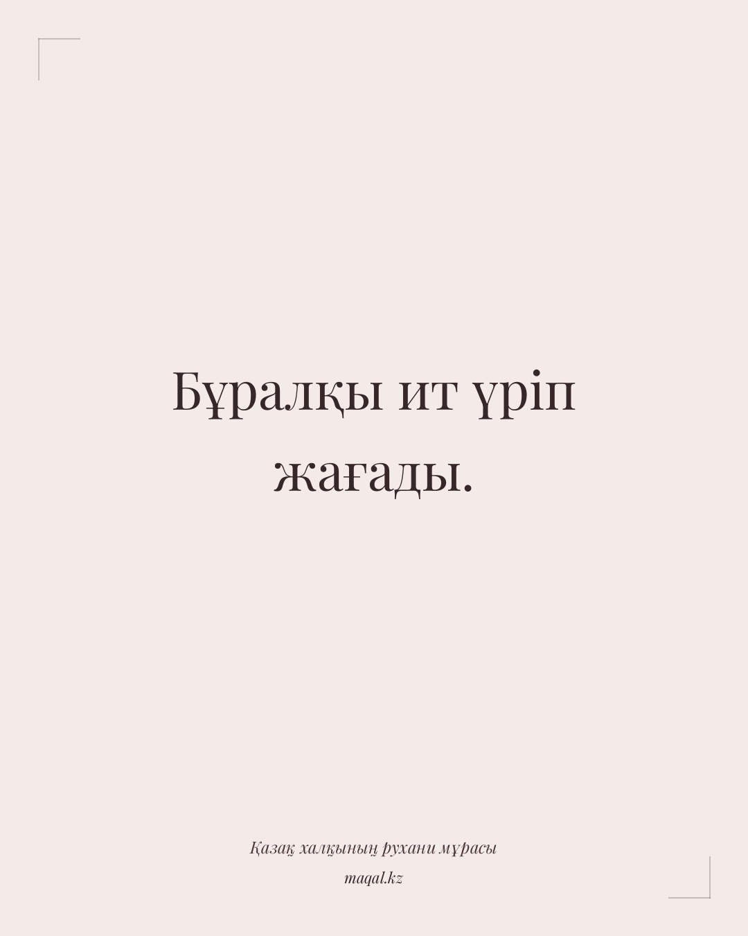 Бұралқы ит үріп жағады. — қазақша мақал