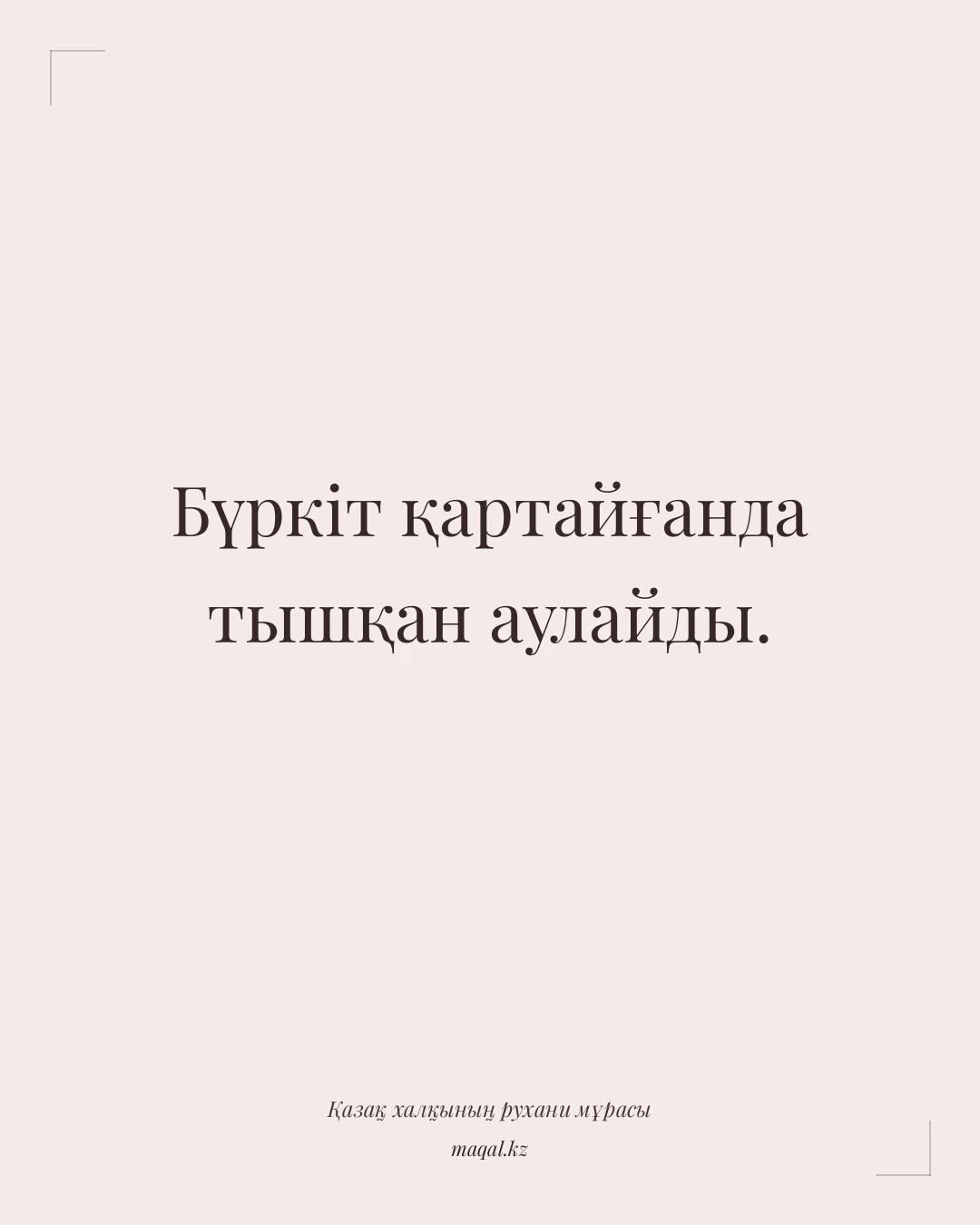 Бүркіт қартайғанда тышқан аулайды. — қазақша мақал