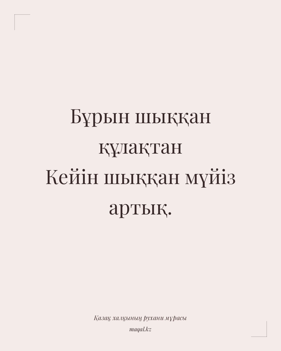 Бұрын шыққан құлақтан Кейін шыққан мүйіз артық. — қазақша мақал