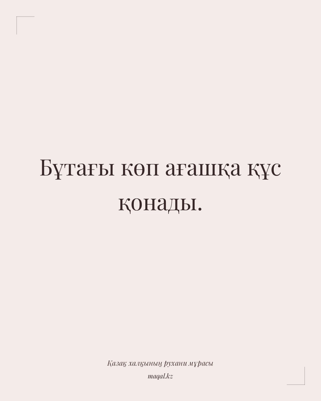 Бұтағы көп ағашқа құс қонады. — қазақша мақал