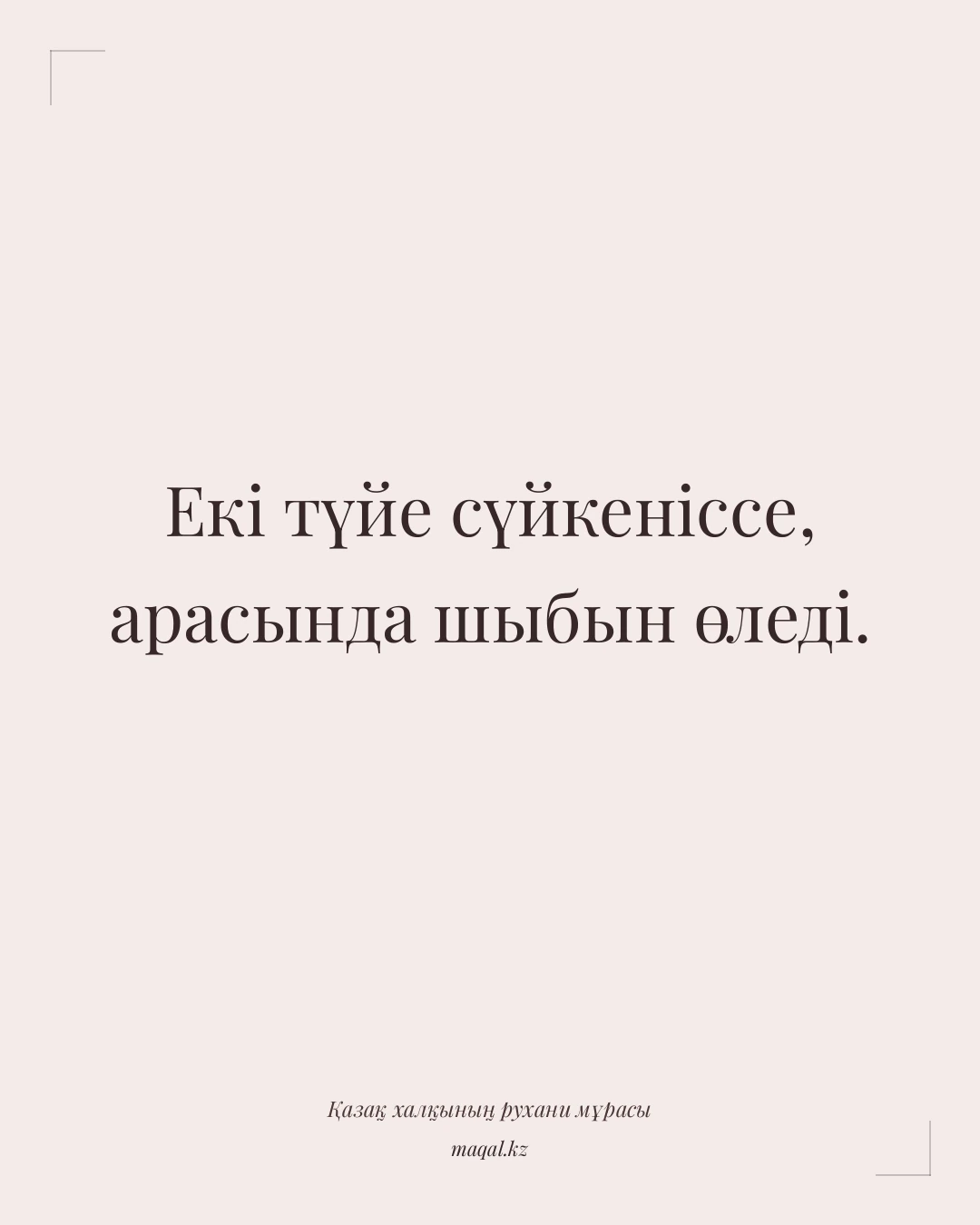 Екі түйе сүйкеніссе, арасында шыбын өледі. — қазақша мақал