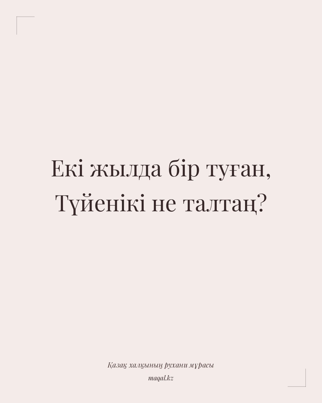 Екі жылда бір туған, Түйенікі не талтаң? — қазақша мақал