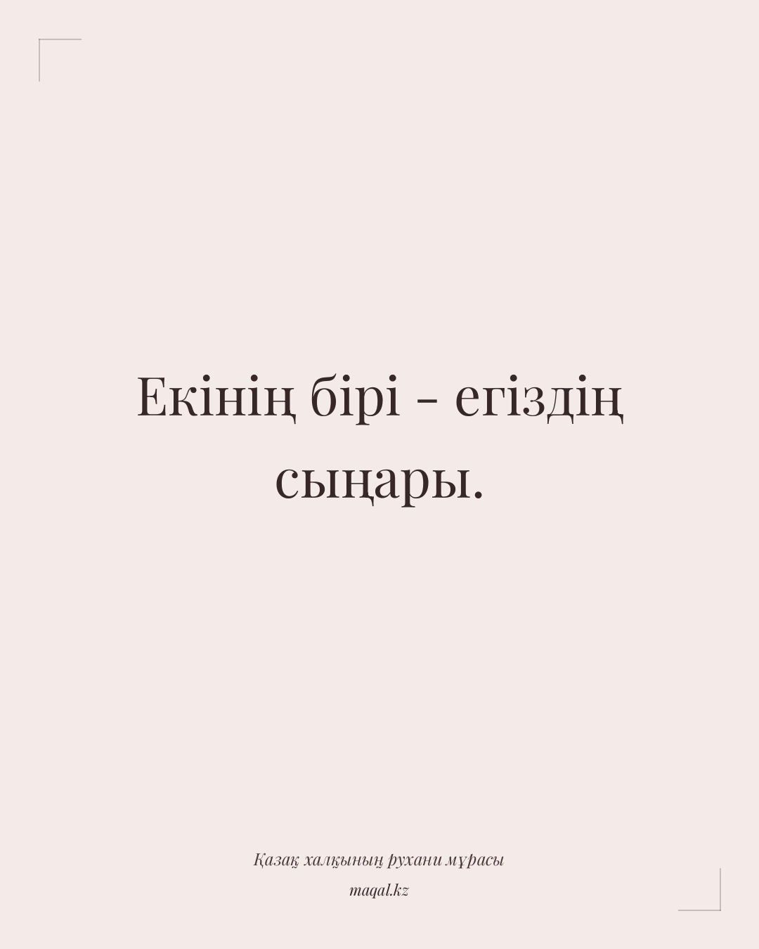 Екінің бірі - егіздің сыңары. — қазақша мақал