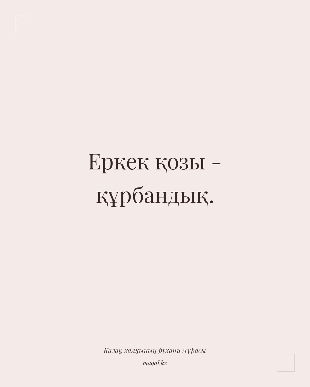 Еркек қозы - құрбандық. — қазақша мақал