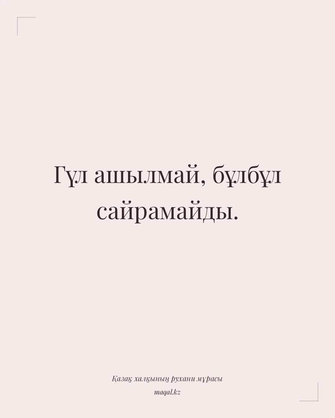 Гүл ашылмай, бұлбұл сайрамайды. — қазақша мақал