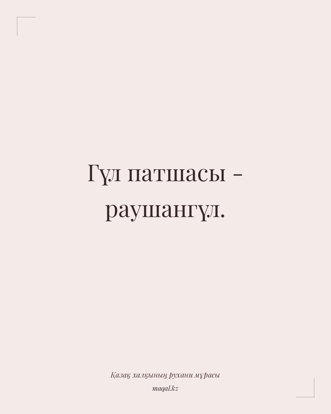 Гүл патшасы - раушангүл. — қазақша мақал