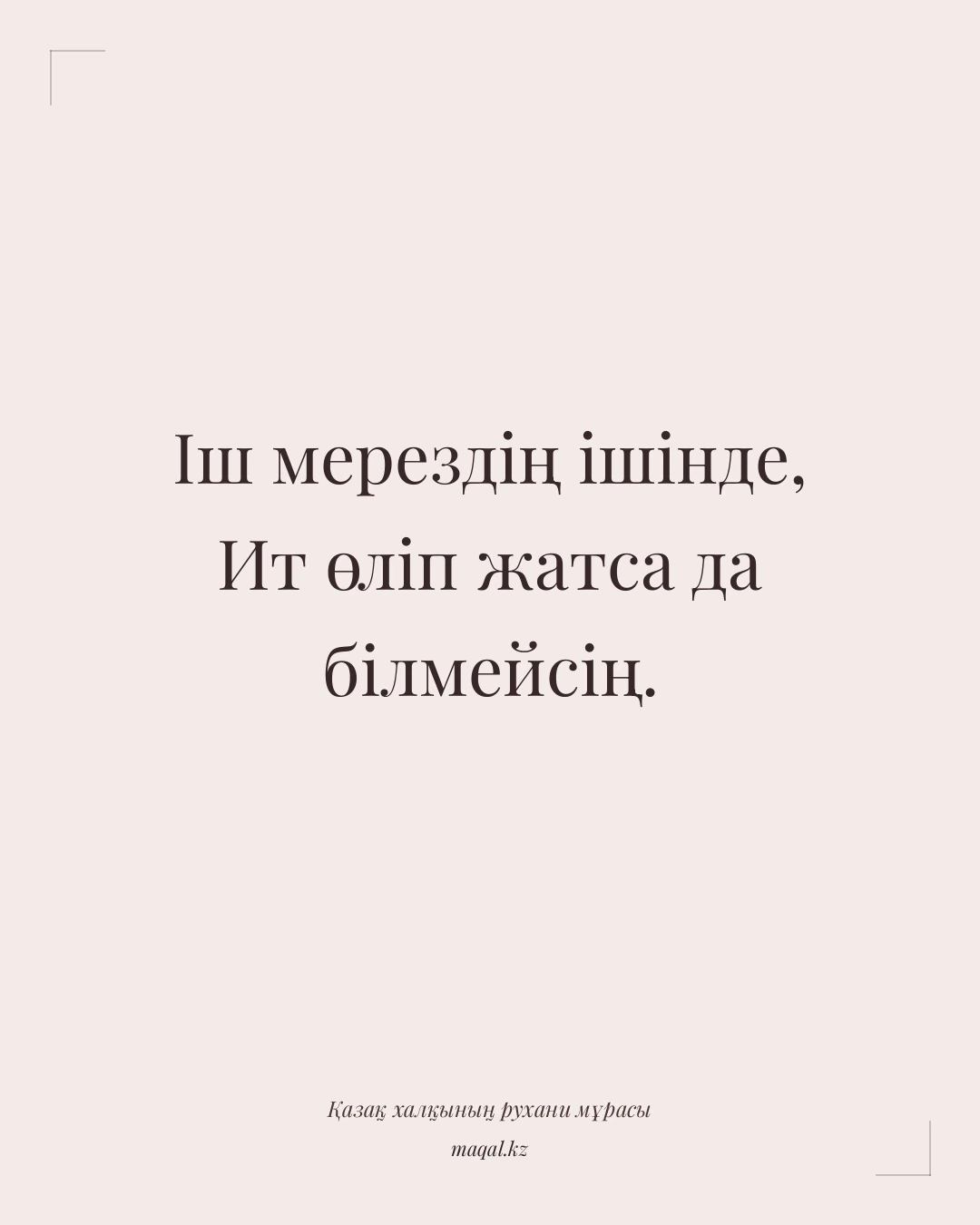 Іш мерездің ішінде, Ит өліп жатса да білмейсің. — қазақша мақал
