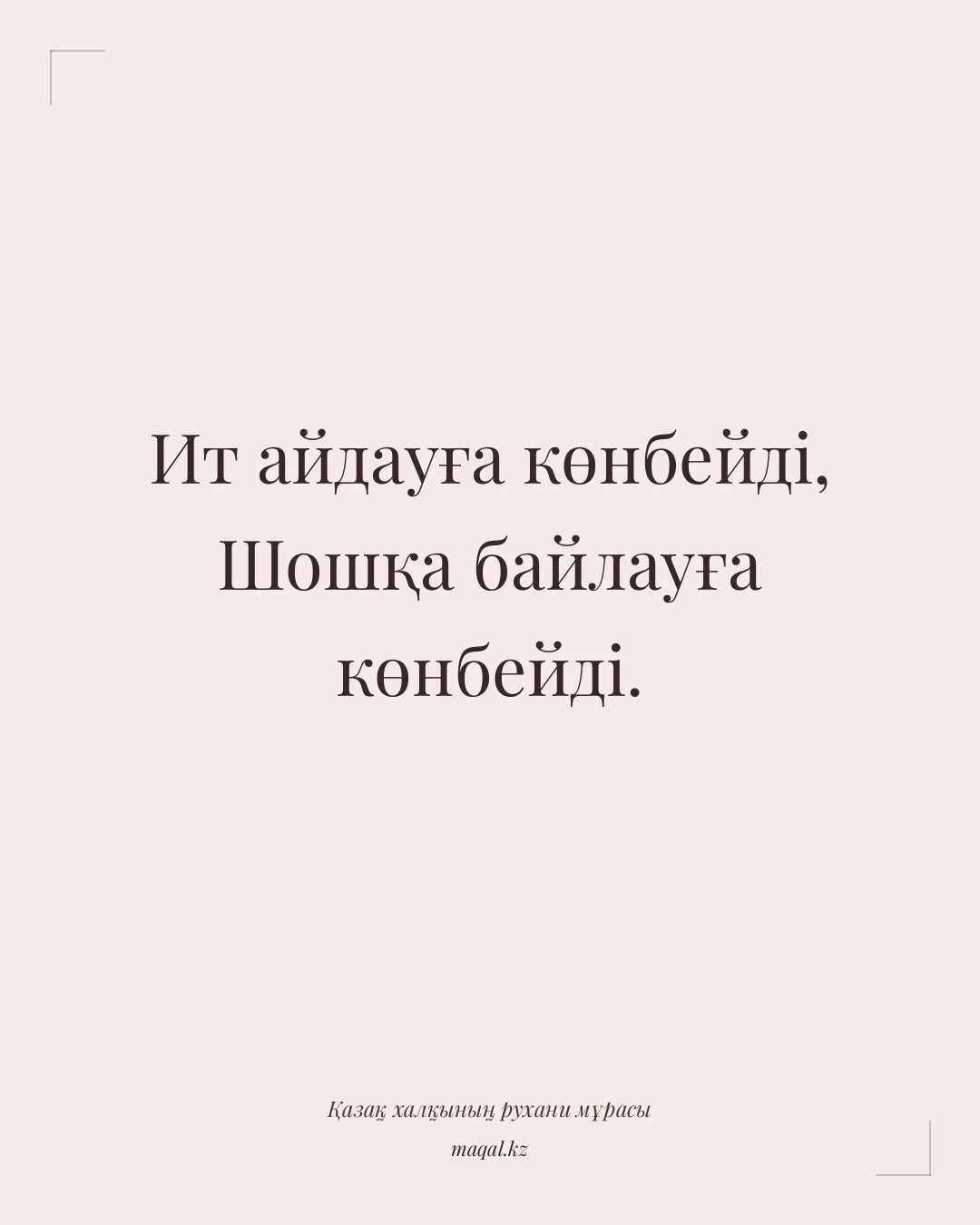 Ит айдауға көнбейді, Шошқа байлауға көнбейді. — қазақша мақал