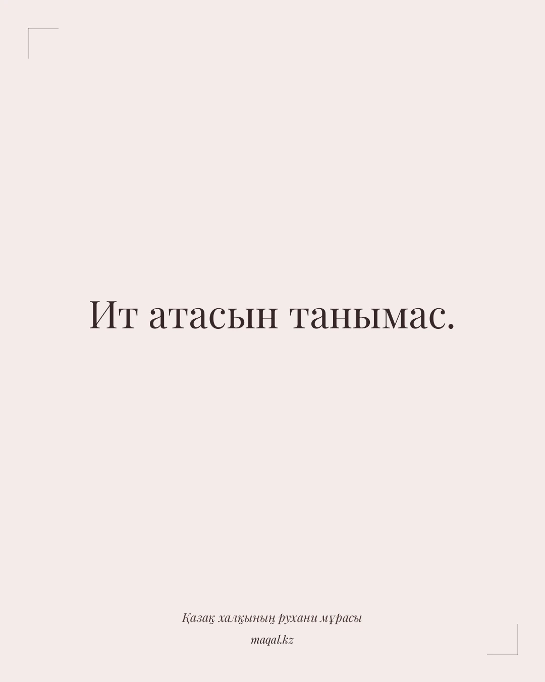 Ит атасын танымас. — қазақша мақал