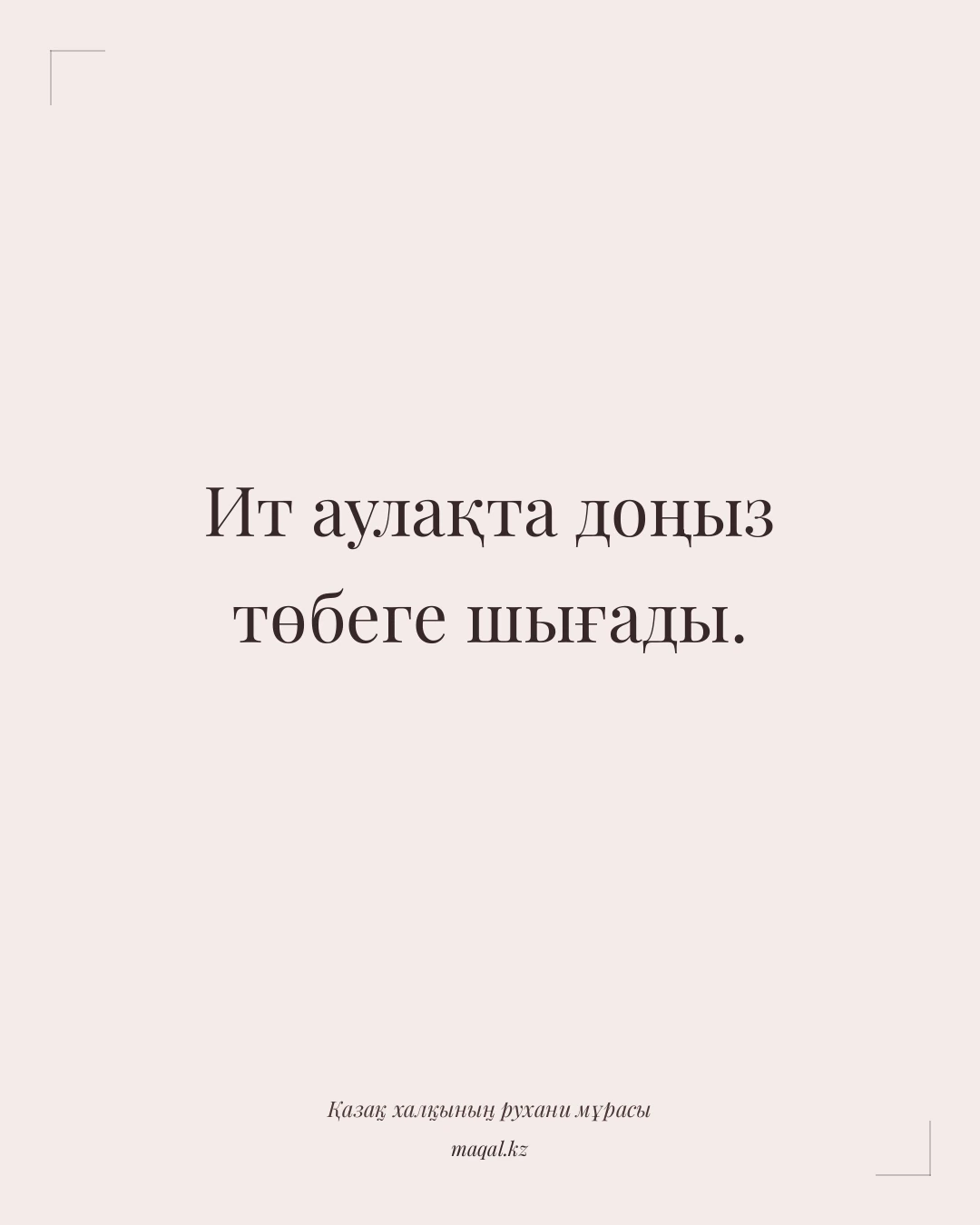 Ит аулақта доңыз төбеге шығады. — қазақша мақал