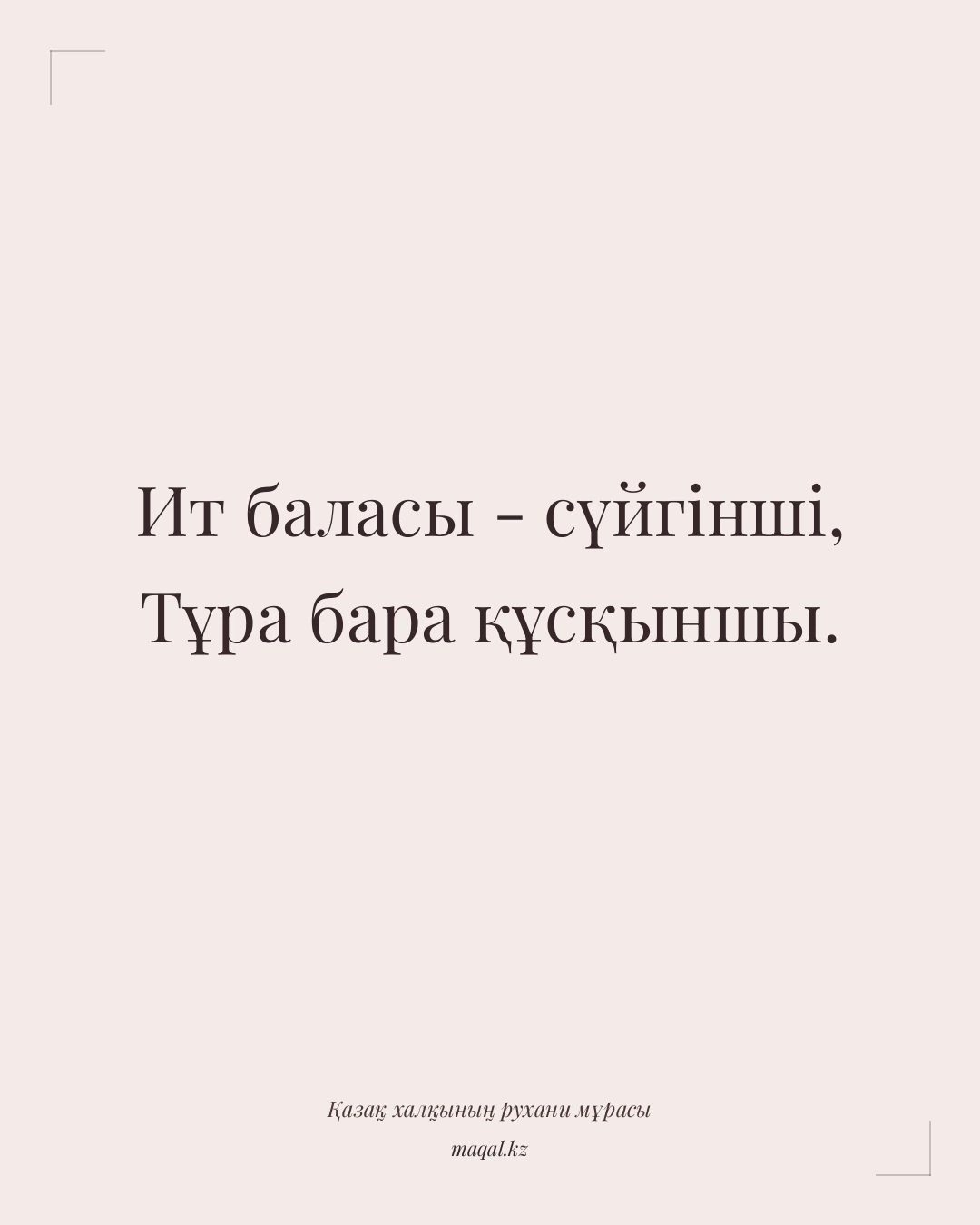 Ит баласы - сүйгінші, Тұра бара құсқыншы. — қазақша мақал