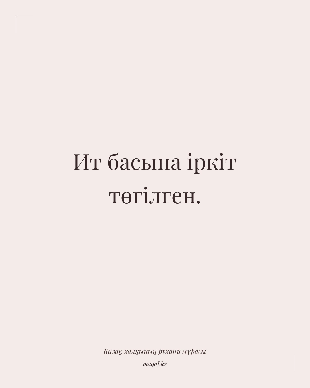 Ит басына іркіт төгілген. — қазақша мақал