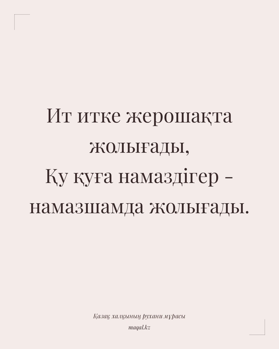 Ит итке жерошақта жолығады, Қу қуға намаздігер - намазшамда жолығады. — қазақша мақал