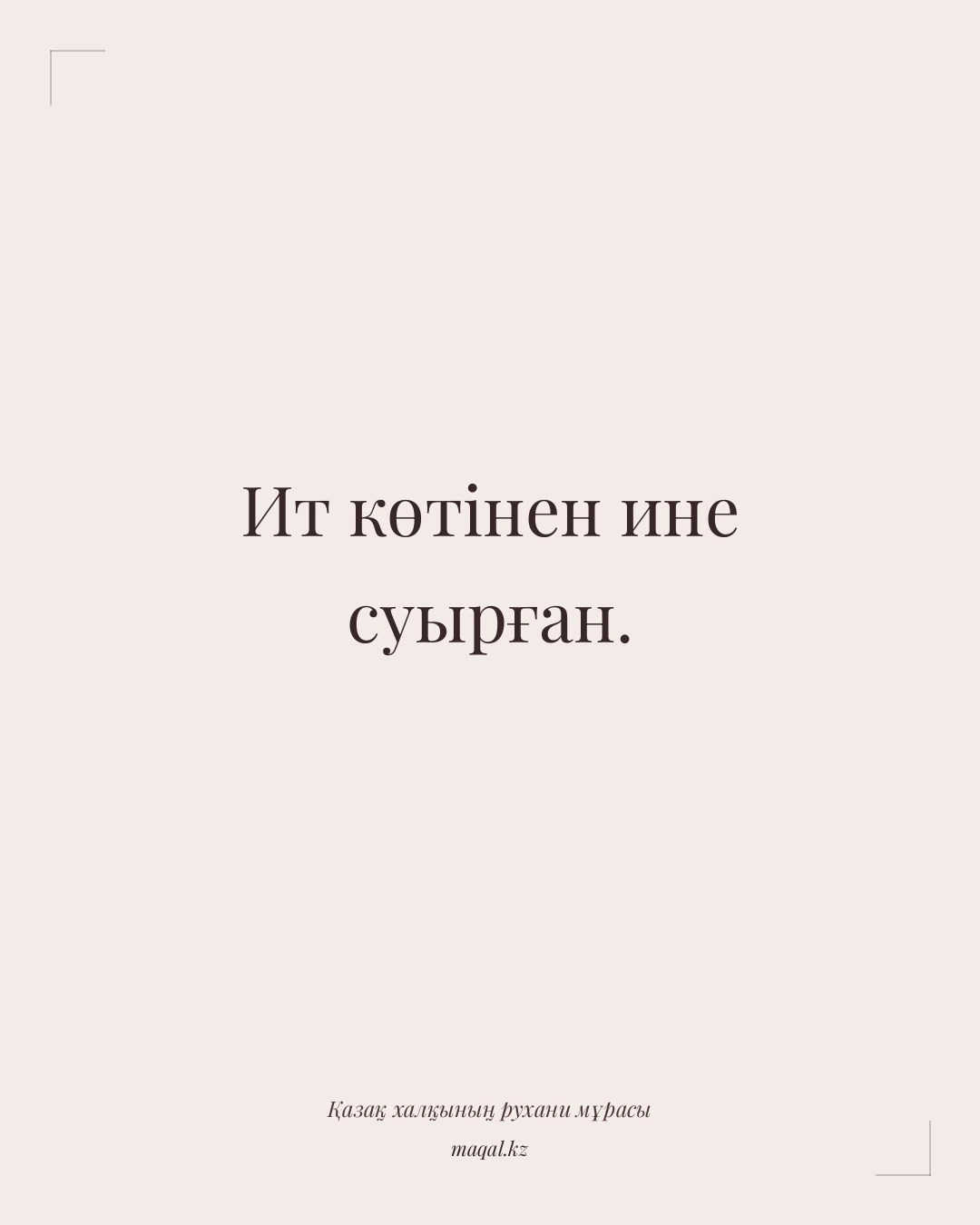 Ит көтінен ине суырған. — қазақша мақал