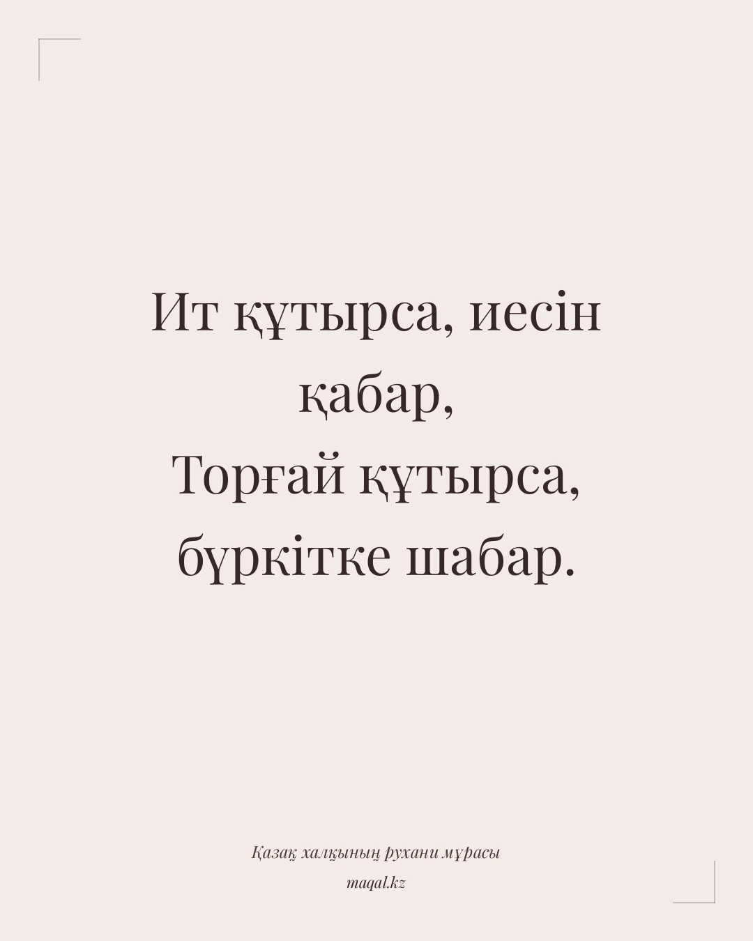 Ит құтырса, иесін қабар, Торғай құтырса, бүркітке шабар. — қазақша мақал