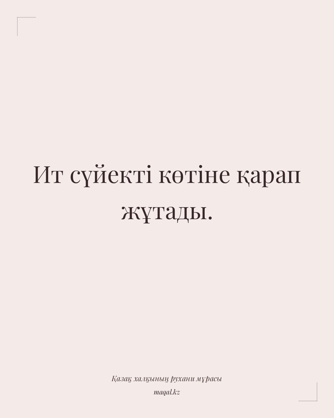 Ит сүйекті көтіне қарап жұтады. — қазақша мақал